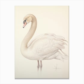 Vintage Bird Drawing Swan 2 Canvas Print