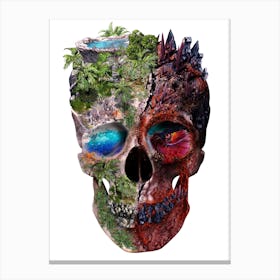 Two Face Skull Canvas Print