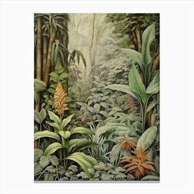 Vintage Jungle Botanical Illustration Ginger 1 Canvas Print