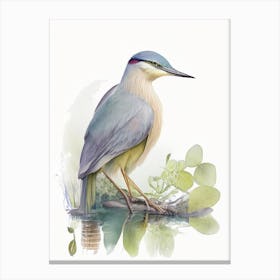 Javan Pond Heron Gouache 1 Canvas Print