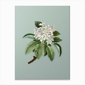 Vintage Shipova Botanical Art on Mint Green n.0120 Canvas Print