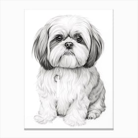 Shiba Tzu Dog, Line Drawing 4 Canvas Print