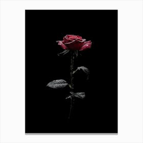 Black Rose 7 Canvas Print