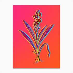 Neon Wachendorfia Thyrsiflora Botanical in Hot Pink and Electric Blue n.0327 Canvas Print