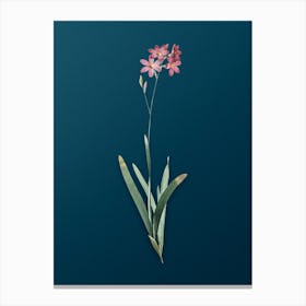 Vintage Corn Lily Botanical Art on Teal Blue n.0184 Canvas Print
