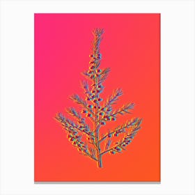 Neon Sea Asparagus Botanical in Hot Pink and Electric Blue Canvas Print
