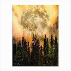 Full Moon In The Forest Nature Pine Trees Sky Night Canvas Print
