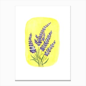 Lavender Flowers 1 Canvas Print