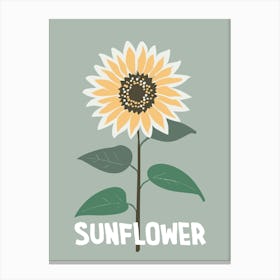 Sunflower Canvas Print