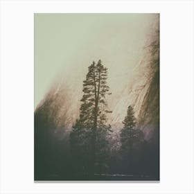 Two Trees Canvas Print