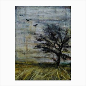 Lone Tree Canvas Print