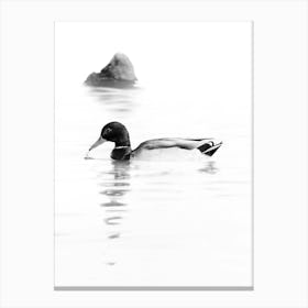 A Black And White Duck And A Rock In The Water With A Reflection Canvas Print