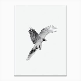 California Condor B&W Pencil Drawing 3 Bird Canvas Print