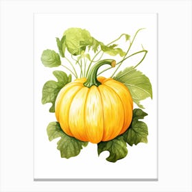 Buttercup Squash Pumpkin Watercolour Illustration 4 Canvas Print