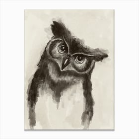 Brian The Owl Canvas Print