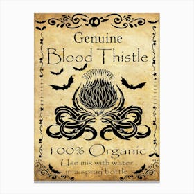 Genuine Blood Thistle Canvas Print