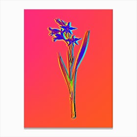 Neon Gladiolus Cuspidatus Botanical in Hot Pink and Electric Blue n.0324 Canvas Print