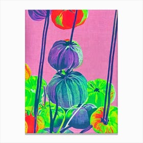 Tomatillo 2 Risograph Retro Poster vegetable Canvas Print