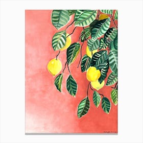 Lemons And Trees Canvas Print