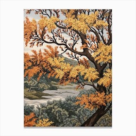 Black Willow 3 Vintage Autumn Tree Print  Canvas Print