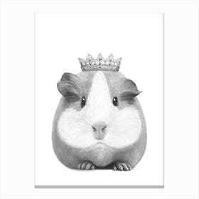Queen Guinea Pig Canvas Print
