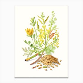 Fenugreek Spices And Herbs Pencil Illustration 1 Canvas Print