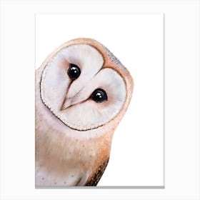 Peeping Owl Canvas Print