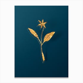 Vintage Erythronium Botanical in Gold on Teal Blue n.0314 Canvas Print