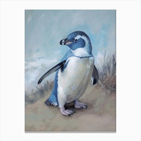 Adlie Penguin Oamaru Blue Penguin Colony Oil Painting 3 Canvas Print