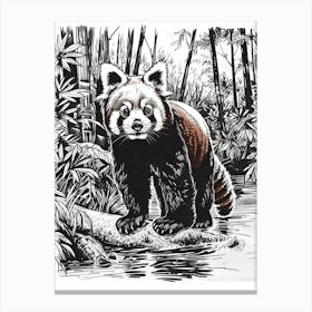 Red Panda Standing On A Riverbank Ink Illustration 2 Canvas Print