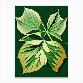 Siberian Ginseng Leaf Vibrant Inspired 3 Canvas Print