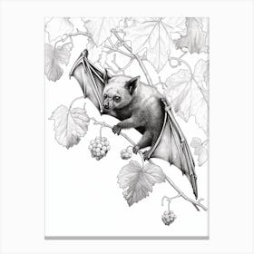 Fruit Bat Drawing 1 Canvas Print