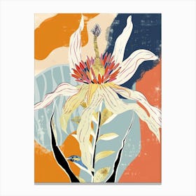 Colourful Flower Illustration Edelweiss 4 Canvas Print