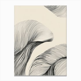 Feathers 1 Canvas Print