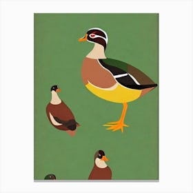 Wood Duck Midcentury Illustration Bird Canvas Print