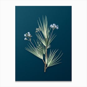 Vintage Blue Stars Botanical Art on Teal Blue n.0888 Canvas Print