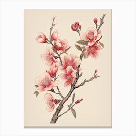 Sakura Cherry Blossom 4 Vintage Japanese Botanical Canvas Print