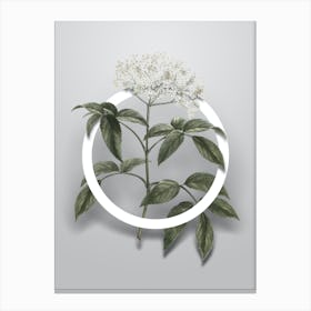 Vintage Elderberry Flowering Plant Minimalist Botanical Geometric Circle on Soft Gray n.0242 Canvas Print