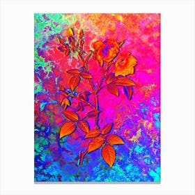 Velvet China Rose Botanical in Acid Neon Pink Green and Blue n.0165 Canvas Print