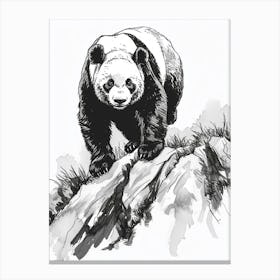 Giant Panda Walking On A Mountain Ink Illustration 4 Canvas Print