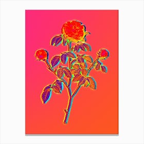 Neon Agatha Rose in Bloom Botanical in Hot Pink and Electric Blue n.0440 Canvas Print