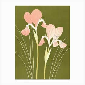 Pink & Green Iris 2 Canvas Print