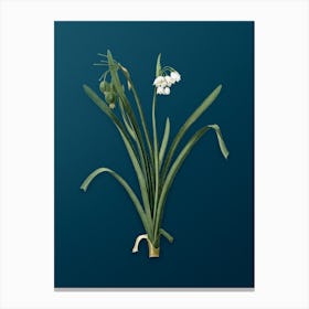Vintage Summer Snowflake Botanical Art on Teal Blue n.0942 Canvas Print