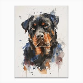 Rottweiler Watercolor Painting 2 Canvas Print