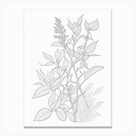 Ashwagandha Herb William Morris Inspired Line Drawing Canvas Print