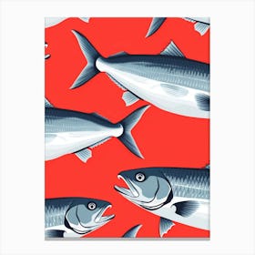 Sardines On Red Background Canvas Print