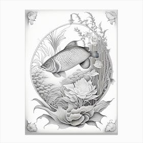 Doitsu Koi Fish 1, Haeckel Style Illustastration Canvas Print