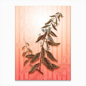 Goji Berry Tree Vintage Botanical in Peach Fuzz Awning Stripes Pattern n.0219 Canvas Print
