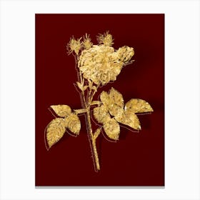 Vintage Pink Agatha Rose Botanical in Gold on Red n.0275 Canvas Print