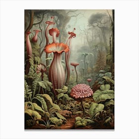 Vintage Jungle Botanical Illustration Carnivorous Plant Canvas Print